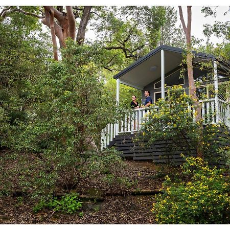 Discovery Parks - Lane Cove Sydney Exterior photo