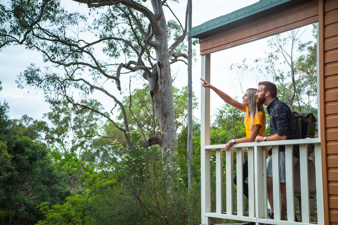 Discovery Parks - Lane Cove Sydney Exterior photo